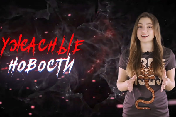 Ужасные Новости #31